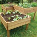 Table potagre et florale