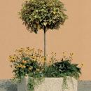JARDINIERE BETON HEXAGONALE