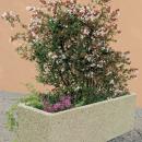 JARDINIERE RECTANGLE 1500X500X500