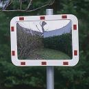 MIROIR MIXTE PRIVE 600 400 PLEXI