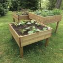 ASSORTIMENT DE 3 TABLES POTAGERES