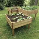 TABLE POTAGERE MONET DOUGLAS CL3 -