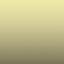 RAL CHAMPAGNE 6 - SPECIFIQUE A CHIFFRER