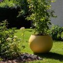 JARDINIERE POLYETHYLENE   1168 - 500L