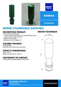 BORNE CYLINDRIQUE ACIER   160 AMOVIBLE - BORNEA