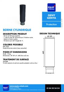 BORNE ACIER AMOVIBLE AVEC EMBASE- 160 - GENYA