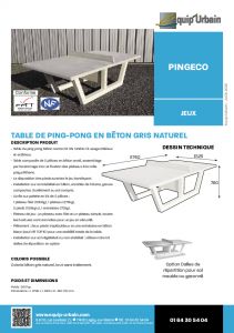 TABLE DE PING PONG EN BETON GRIS NATUREL - PINGECO