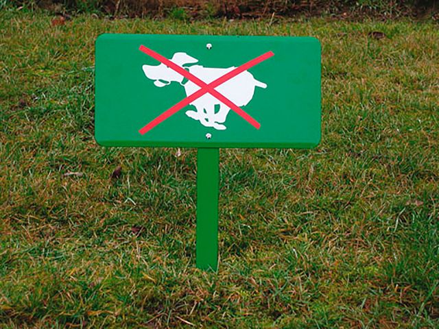 PICTO CHIEN INTERDIT