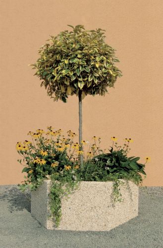 JARDINIERE BETON HEXAGONALE