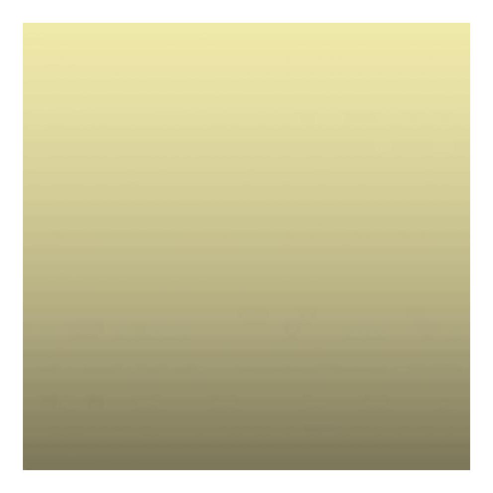 RAL CHAMPAGNE 6 - SPECIFIQUE A CHIFFRER